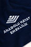 ANADOLU HAYAT EMEKLİLİK LOGO NAKIŞLI POLAR ŞAL