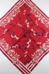 SARAR C.C.S EŞARP 17104