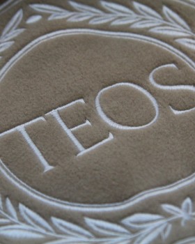 TEOS CAFE LOGO NAKIŞLI POLAR ŞAL