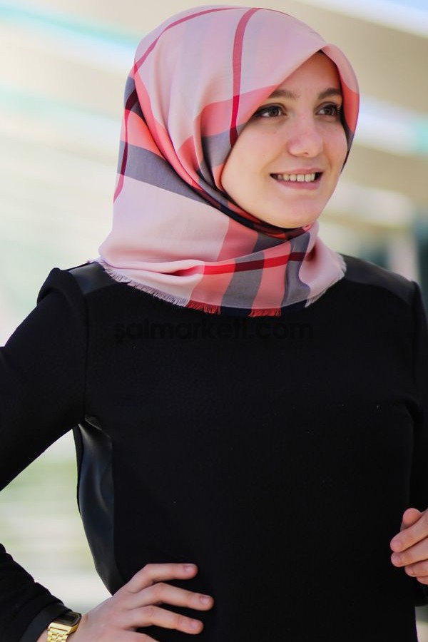 Kare 艦al E艦arp Modeller陌